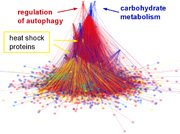 a fig. from the paper