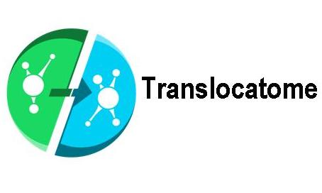 Translocatome