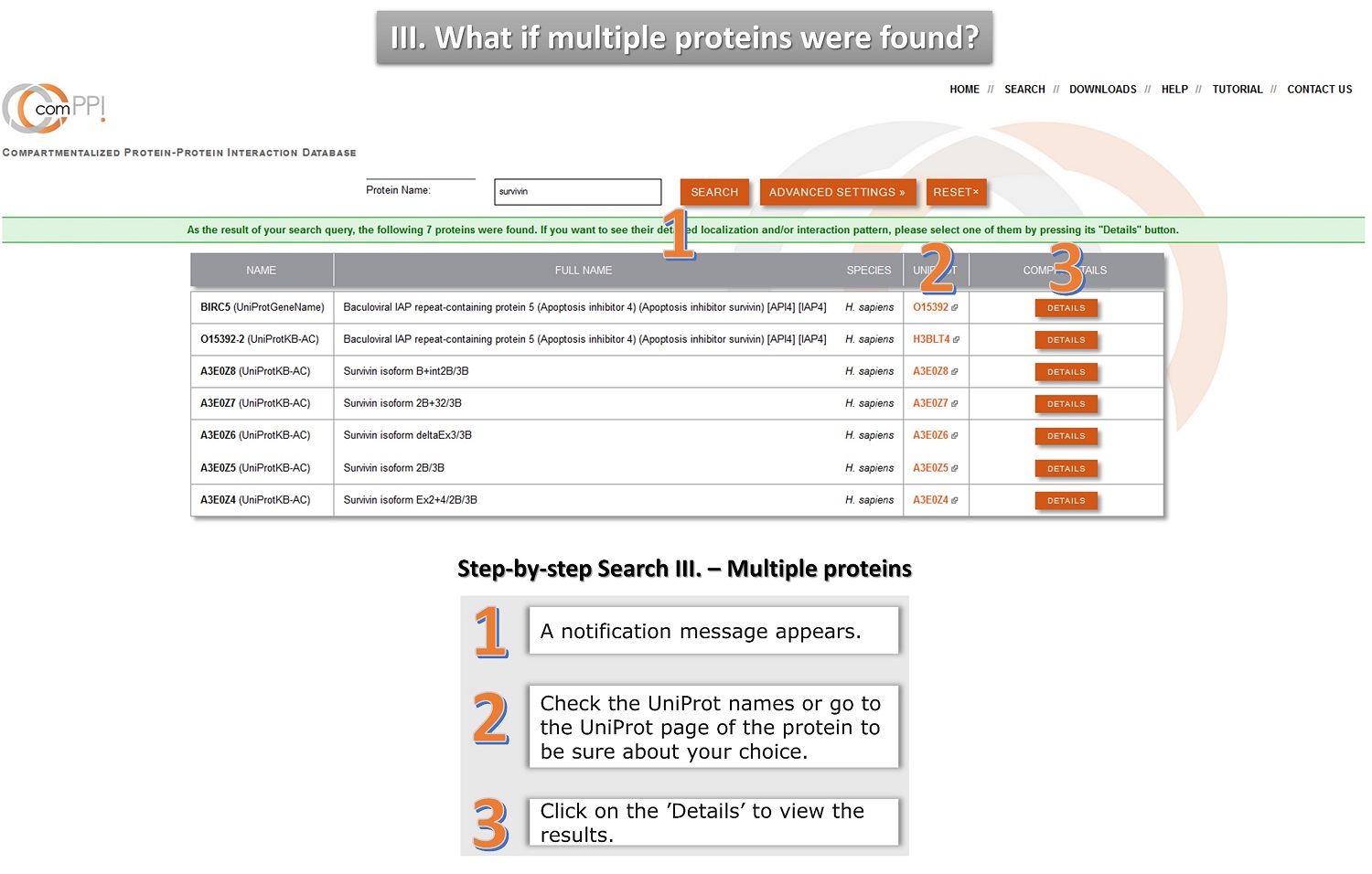 protein search tutorial 3