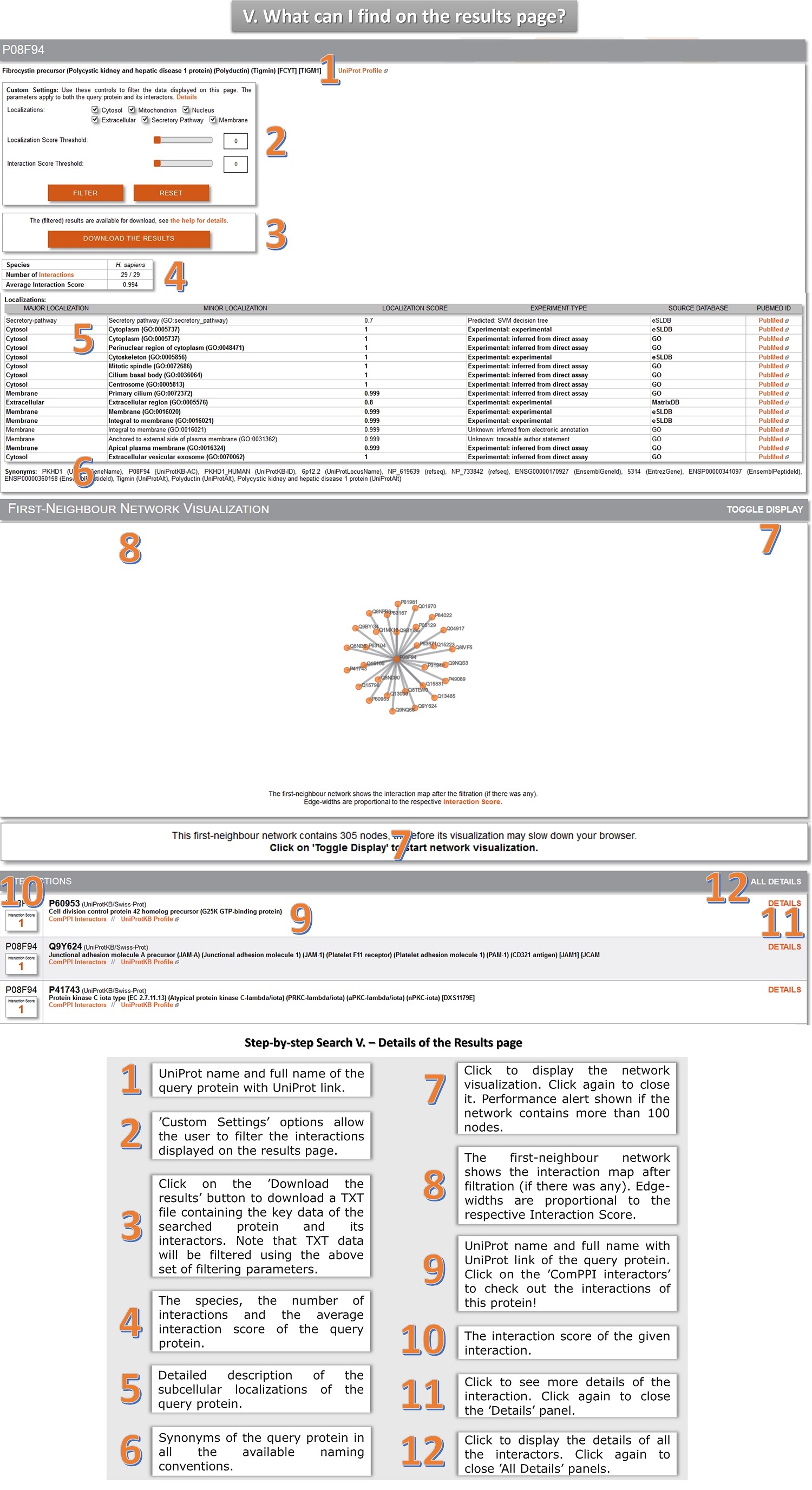 protein search tutorial 5