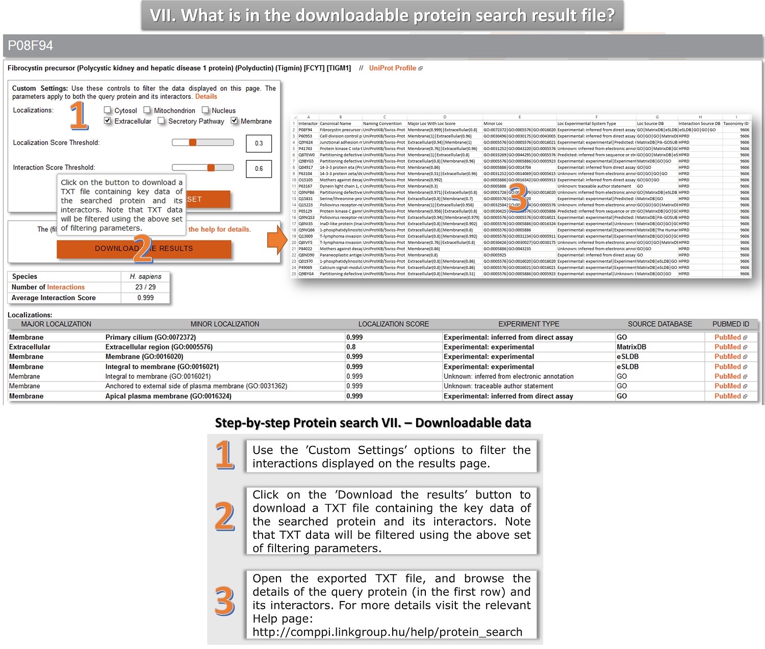 protein search tutorial 7